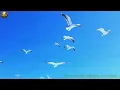 🙏 HAPA NIMEFIKA — SIO MIMI, NI WEWE | Wimbo wa Shukrani kwa Mungu | Swahili Worship 2026
