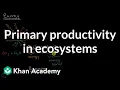 Primary productivity in ecosystems Matter and Energy Flow AP Environmental Science Khan Academy