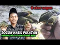Download Lagu HASIL SOGON DARI ALLURE IN THE FOREST
