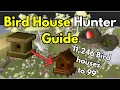 Optimal Bird House Hunting Guide in OSRS