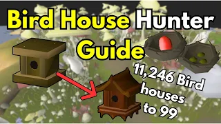 Optimal Bird House Hunting Guide in OSRS