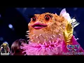 Download Lagu Pufferfish One Night Only Full Performance | The Masked Singer 2025 Top 4 S06E07