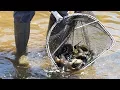 Fish Stocking - NDGNF