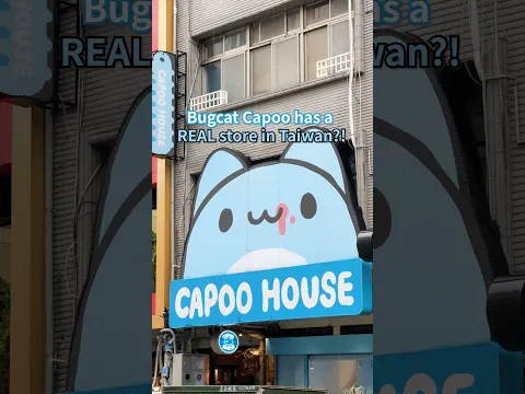 Bugcat Capoo Has a REAL Store in Taipei?!  愛心💙| Capoo House
