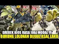 Download Lagu MELIMPAH RUAH ! RATUSAN EKOR BURUNG LOLOHAN DIJUAL GILA GILAAN HARI INI DIKIOS PASAR PRAMUKA