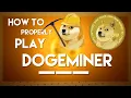 How to properly play Dogeminer