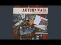 Autumn Walk - Orchestrated feat Doug Hammer