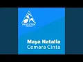 Download Lagu Cemara Cinta