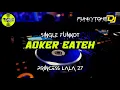 Download Lagu Funkot - AOKER EATEH [PRINCESS LALA 27] #Funkytonestyle