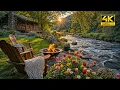 Lagu Spring Riverside Relaxation in Forest: Cozy Crackling Fire Pit with Soothing Nature Sounds, Birdsong