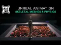 Unreal 5 4 Animation Tutorial - Skeletal Meshes Physics