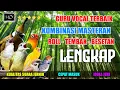 Download Lagu #10 Masteran Kombinasi isian Tembakan untuk semua Burung Murai Batu !!
