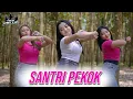 Lagu DJ SANTRI PEKOK - Gendhuk Dhenok Santri Lulusan Pondhok