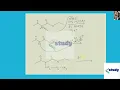 Predict the major organic product of the following reaction and complete its mechanism below Map dc