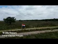 Download Lagu Wilhelmus - Tenor Florian Poepjes (Dutch National Anthem)