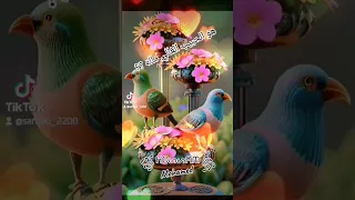 هو الحبيب الغالي ماله 