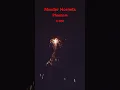 Murder Hornets Firework / Phantom