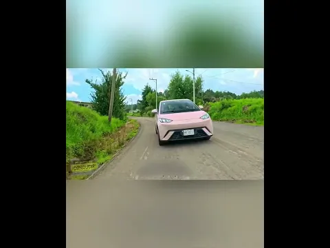 BYD Dolphin Mini: El Rey de los Eléctricos Urbanos #shorts