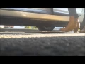 2 snails under board