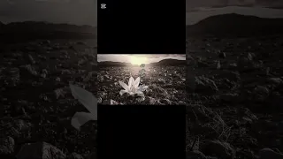 الل ه على اليل وجو البرد وعيونك سلطان البريكيexplore شيلات اكسبلور Fyppppppppppppppppppppppp 