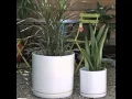 Classic White Ceramic Flower Pots Picture Set Of Beautiful Decor Work