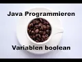 Variablen Boolean Java Programmieren 5