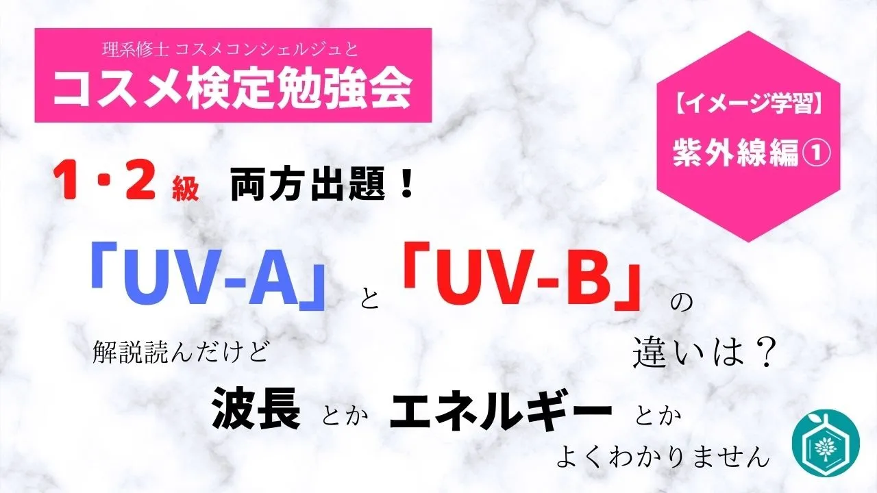 【イメージ学習】〈化粧品検定勉強会〉紫外線編①「UV-A」、「UV-B」の違いは？
