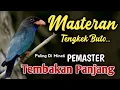 Lagu MASTERAN TENGKEK BUTO PALING DI CARI ~ MATERI CEPAT DIHAFAL OLEH BURUNG CENDET, MURAI, CUCAK HIJAU