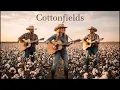 Cottonfields - Country Angel