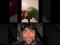mister bombastic Grinch short