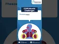 Discover the intricate link between COPD and skeletal muscle abnormalities
