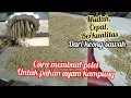Download Lagu Menjadi peternak mandiri dengan membuat pelet sendiri