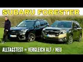 Download Lagu SUBARU FORESTER: Der NEUE im Test + VERGLEICH mit dem Vorgänger! 2025 vs. 2024 | Preis