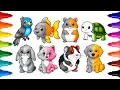 Pets Coloring Pages Help Cute Pets Find Their Colors Kids Coloring
