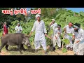 Lagu મરદ નું ફાળીયું કડવો // Gujarati Comedy Video // MARAD NU FARIYU // કોમેડી વિડિયો // Funny Desi Boys