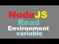 How To Read Environment Variables From Node js