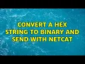 Unix Linux convert a hex string to binary and send with netcat 4 Solutions