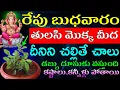 Lagu రేపు బుధవారం సాయంత్రం తులసి మొక్క మీద దీనిని చల్లితే చాలు డబ్బు దూసుకు వస్తుంది