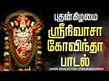 Download Lagu 🔴LIVE SONGS | புதன்கிழமை அன்று பெருமாள் சிறப்பு அபிஷேக தரிசனம் ஸ்ரீநிவாசா கோவிந்தா Govinda Hari