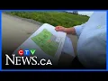 175 million recreation complex coming to Riverside South