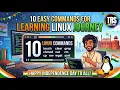 10 Basic Linux Commands for Beginners Start Your Linux Journey