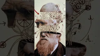 واش بصح نظرية التطور كتقول أن الإنسان أصله قرد بوز و داروين 