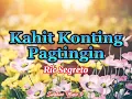 Download Lagu Kahit Konting Pagtingin ((Ric Segreto) with Lyrics