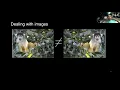 Dive into Deep Learning Coding Session - CNN model