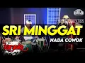 Download Lagu SRI MINGGAT KARAOKE NADA COWOK / PRIA VERSI KOPLO HIGH QUALITY AUDIO CLARITY