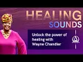 Wayne B Chandler demonstrates the Healing Sounds at Avalaura s Healing Center