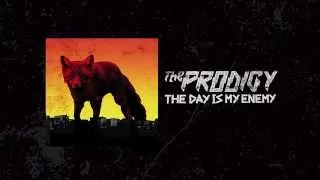 the prodigy the day is my enemy