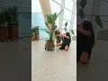 Download Lagu DANSE BIONIQUE - INTERBIOLOGICAL ART #dansebionique #interbiological #art #Eva #marta #strelitzia
