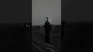 لا بصح بغيتي تروحي ندير عهد مع روحي Cheb Djamil 