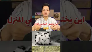 اين يختفي النمل في المنزل Shortvideo 